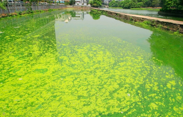 水质在线检测仪